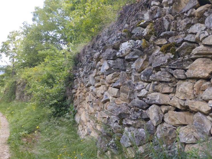Bordure du Chemin Vauban 2