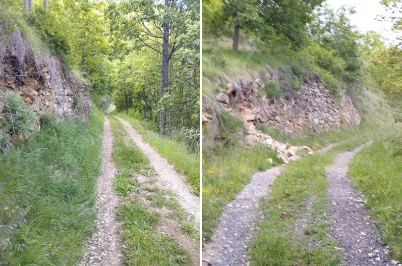 Bordure du Chemin Vauban 1