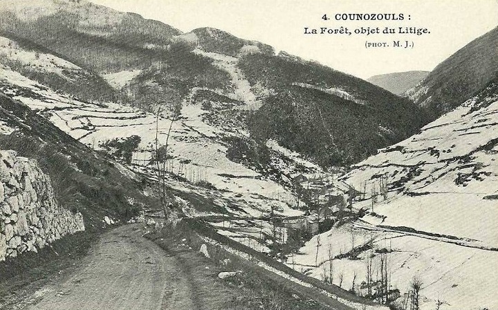 Counozouls, forêt objet du litige