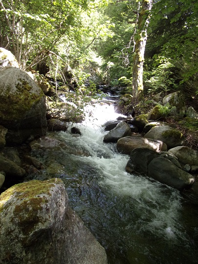 Ayguette, Counozouls - un rapide sur la zone des cascades de l'Ayguette 2