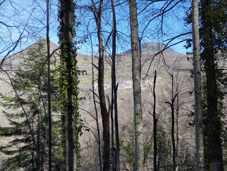 Counozouls à travers les arbres