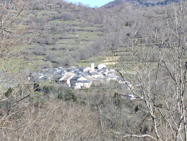 Counozouls à travers les arbres2