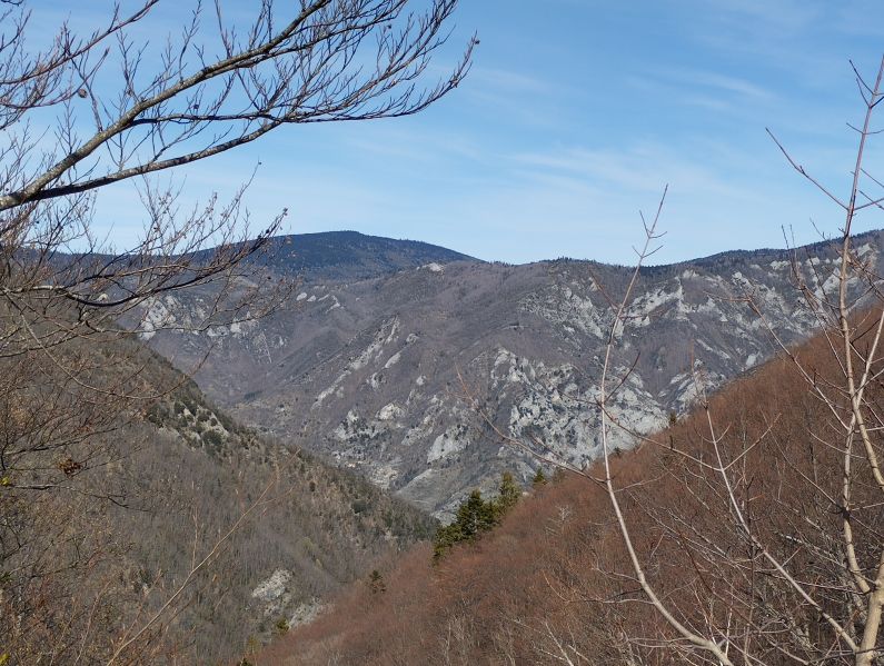 Counozouls à travers les arbres