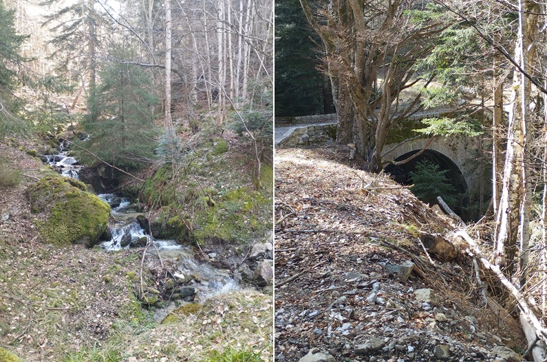 Ruisseau et cascades agrémentant le chemin