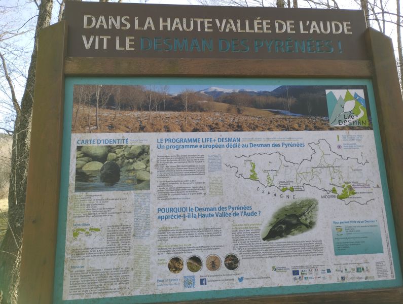 Panneau descriptif sur le Daman des Pyrénées