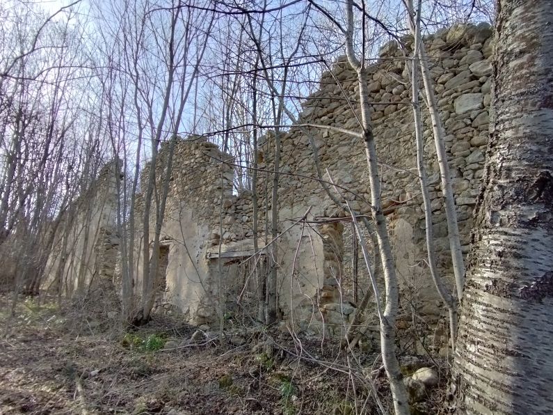 Ruines du manoir de Montplaisir 1