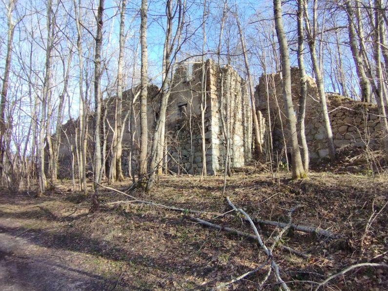 Ruines du manoir de Montplaisir 2