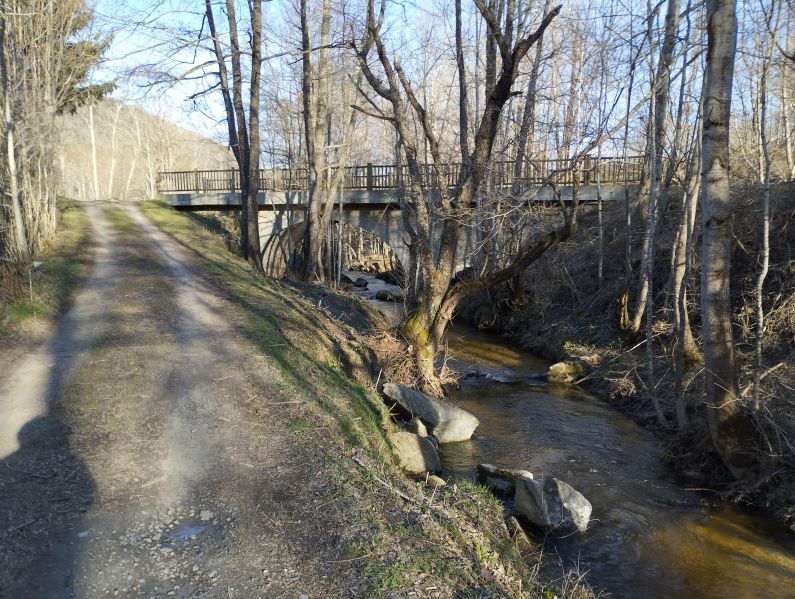 Counozouls à travers les arbres