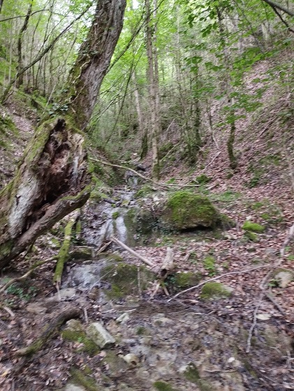 Le Chemin de Taffine dans la commune de Marsa