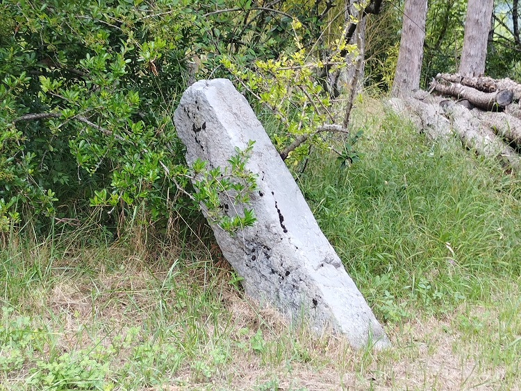 Le menhir dans le champs