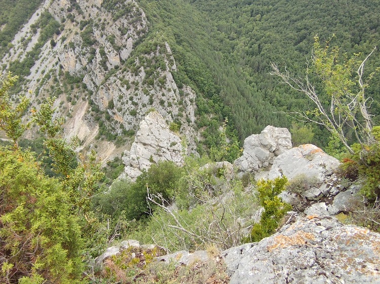 Vue du coté de Joucou - 4