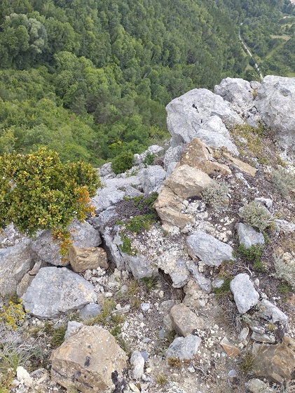 Vue du coté de Joucou - 5