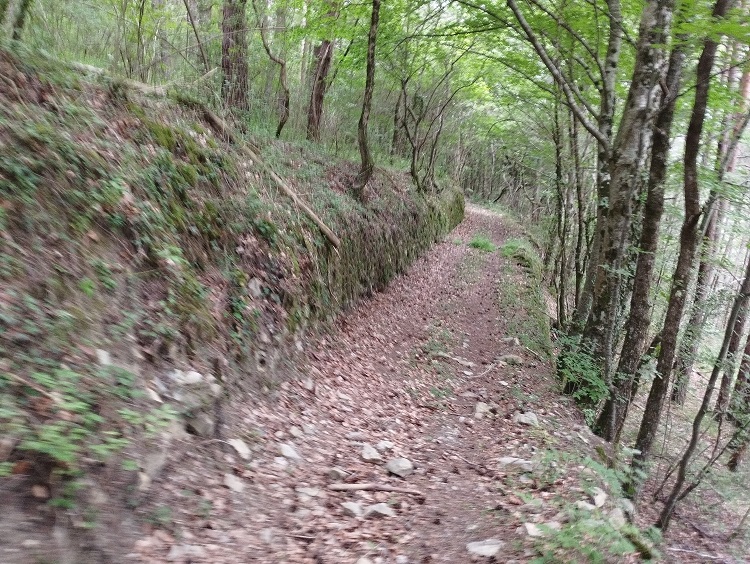 Le Chemin de Taffine dans la commune de Joucou