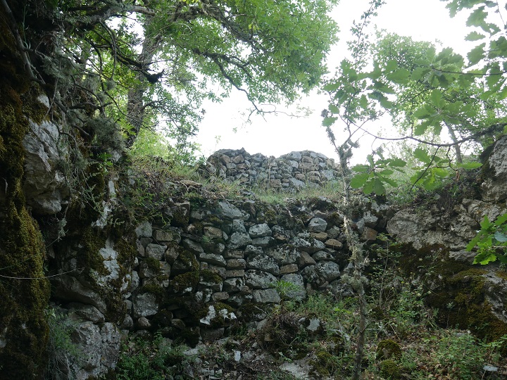 Ruines du château 1