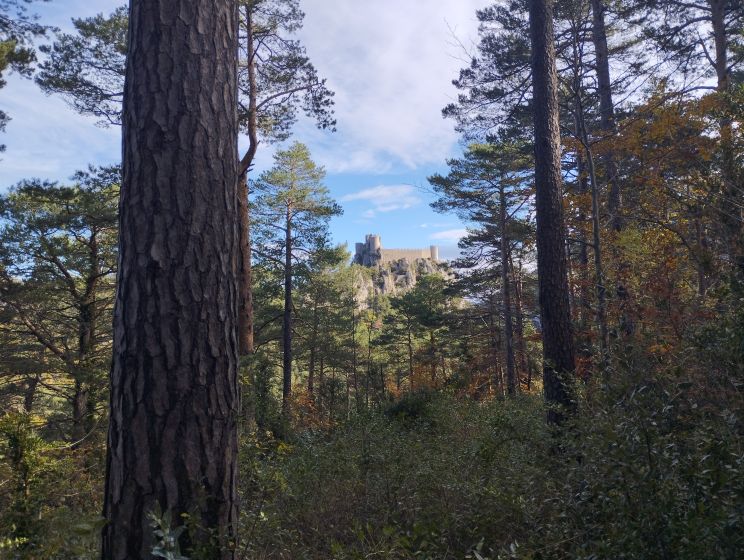 Le chateau de Puilaurens depuis le sentier des marcassins 1