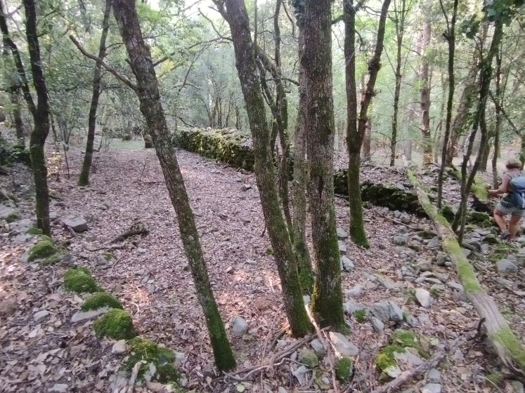 Col de gage - enclos 1