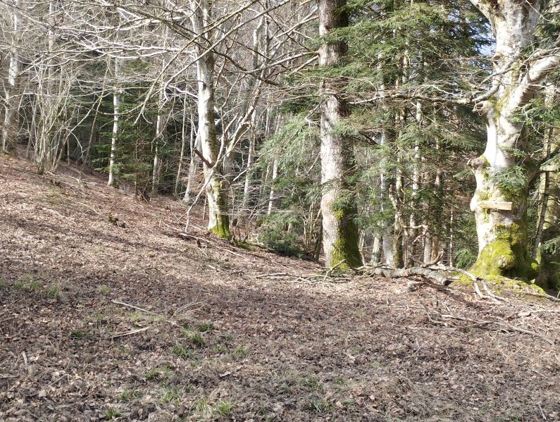 St Martin Lys, chemin de retour vers Saint Martin