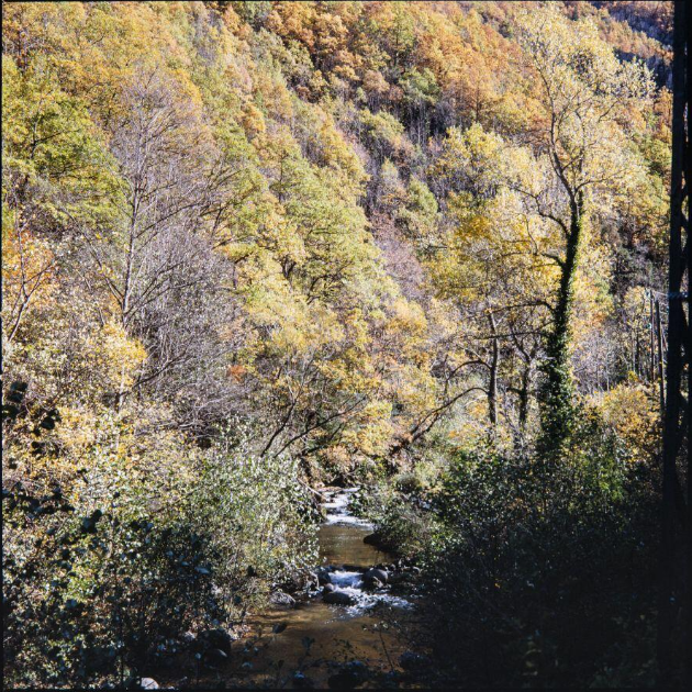 Vue d'un cours d'eau et de versants arborés de la vallée.