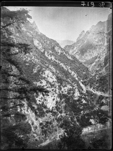Gorges de l'Aude entre Axat et Usson. Sapin, chêne vert : gorges en amont de Saint-Georges / cliché Henri Gaussen. - janvier-mars 1935. Jardin Botanique et Arboretum Henri Gaussen (1880-1948)