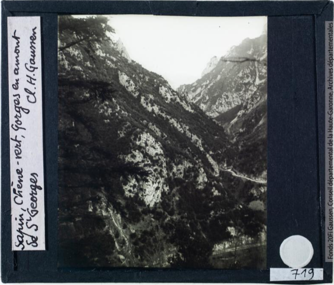 Gorges de l'Aude entre Axat et Usson. Sapin, chêne vert : gorges en amont de Saint-Georges / cliché Henri Gaussen. - janvier-mars 1935. Jardin Botanique et Arboretum Henri Gaussen (1880-1948)