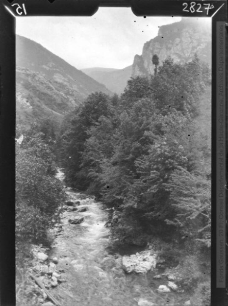 Haute vallée de l'Aude, en remontant vers le Carcanet. - mai-juillet 1922.- Jardin Botanique et Arboretum Henri Gaussen (1880-1948)