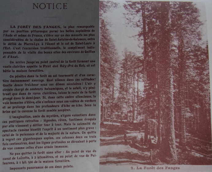 St Martin Lys, Forêt des Fanges Carte double - notice