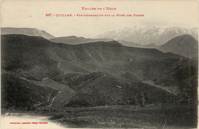 Vue panoramique sur la Forêt des Fanges depuis Quillan