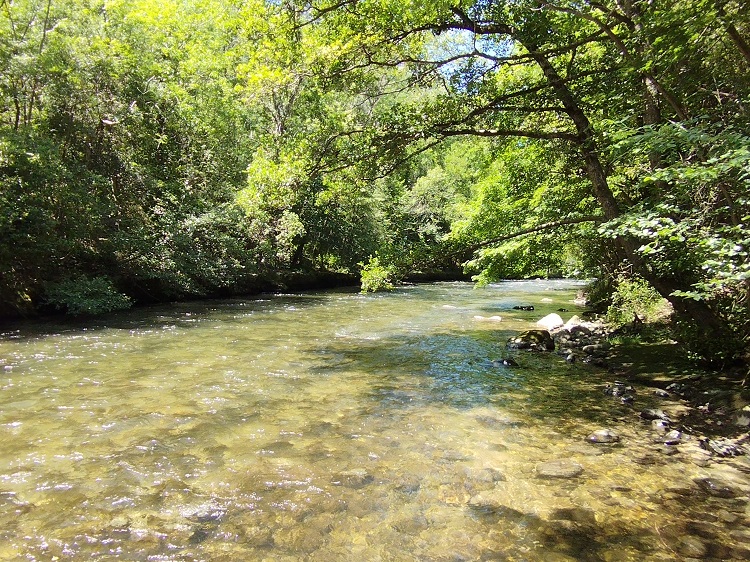 St Martin Lys, gal, berge de l'Aude - 2