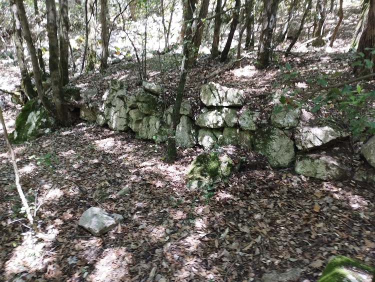 St Martin Lys, gal, berge de l'Aude - 4