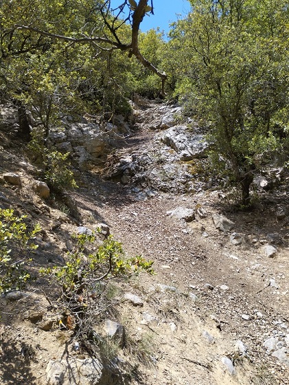 St Martin Lys, gal, berge de l'Aude - 5