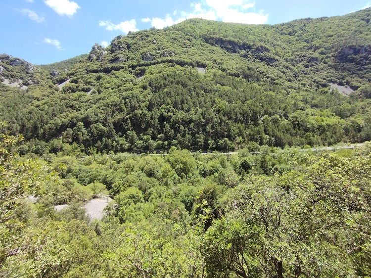 St Martin Lys, gal, berge de l'Aude - 8