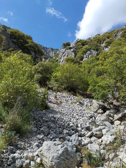 St Martin Lys, gal, berge de l'Aude - 10