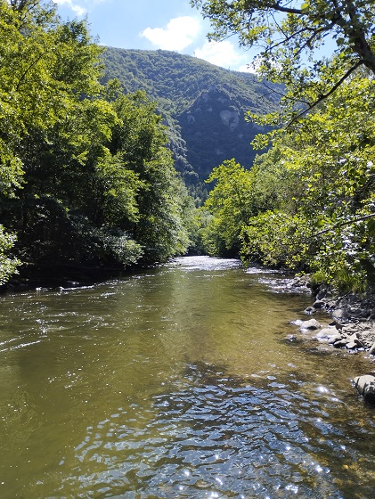 St Martin Lys, gal, berge de l'Aude - 14