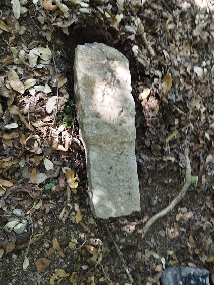 St Martin Lys, gal, berge de l'Aude - 15