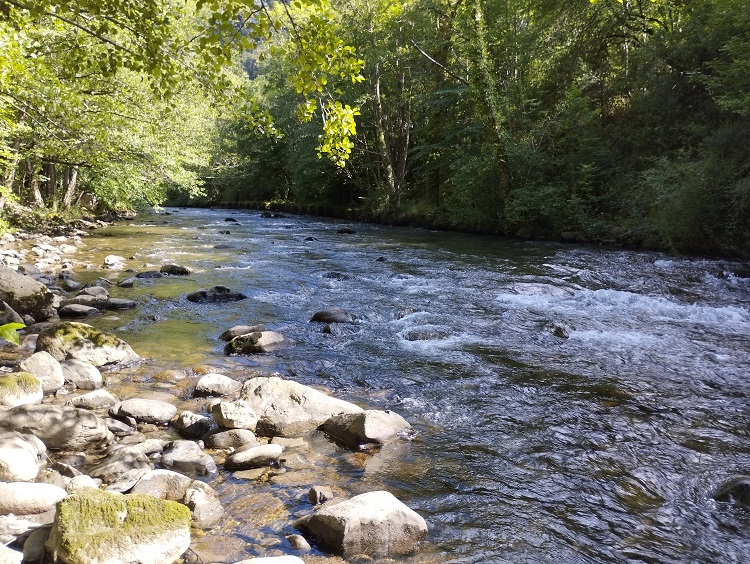 St Martin Lys, gal, berge de l'Aude - 16