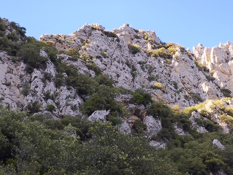 St Martin Lys, gal, berge de l'Aude - 17