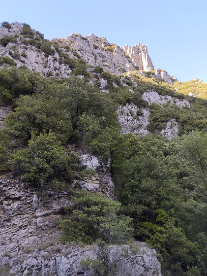 St Martin Lys, gal, berge de l'Aude - 18