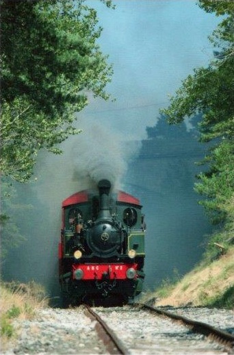 train vapeur en 2011 - 1