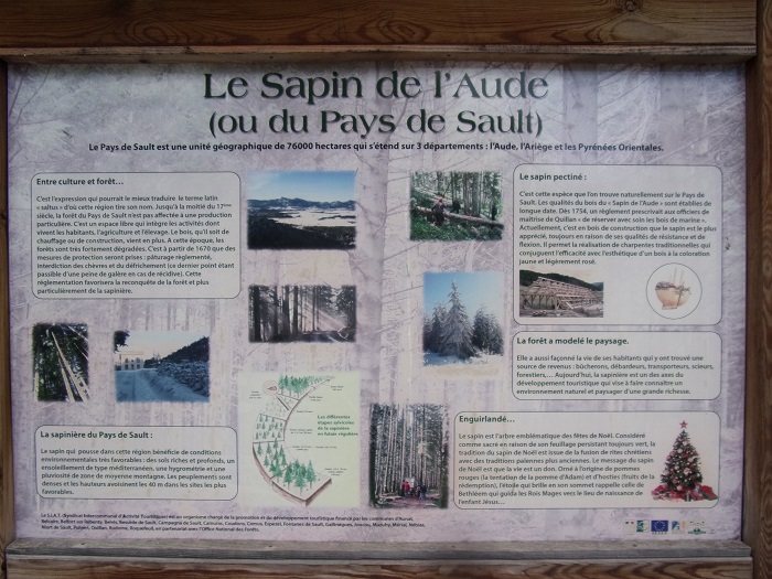 St Martin Lys, Panneau sur la place - Sapins de l'Aude