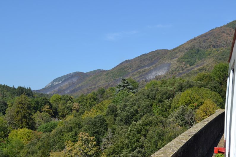 incendie campérié 1