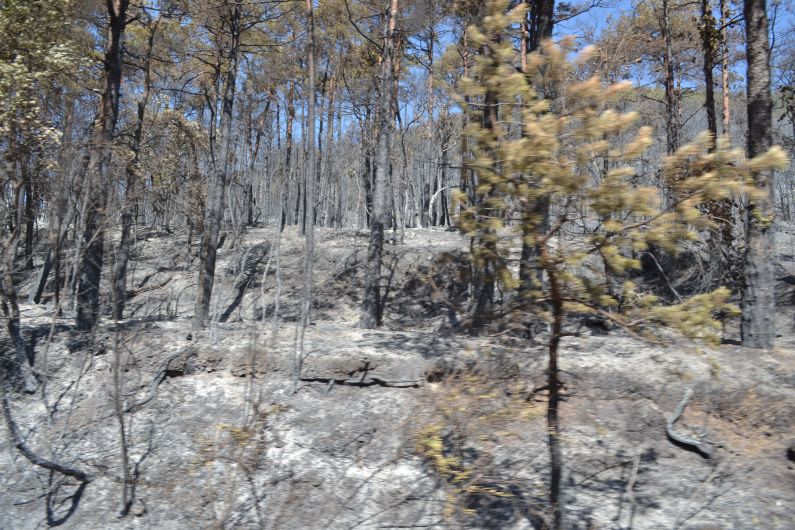 incendie campérié 2