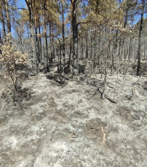 incendie campérié 5