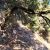 St Martin / Quirbajou (Aude) : le chemin des danseurs