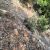 St Martin / Quirbajou (Aude) : le chemin des danseurs