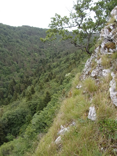 Château d'Able, la barrière rocheuse prise depuis la cours - ruisseau du pas de Joucou