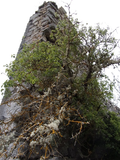 Château d'Able, Reste le plus haut du chateau, vue depuis l'escalier