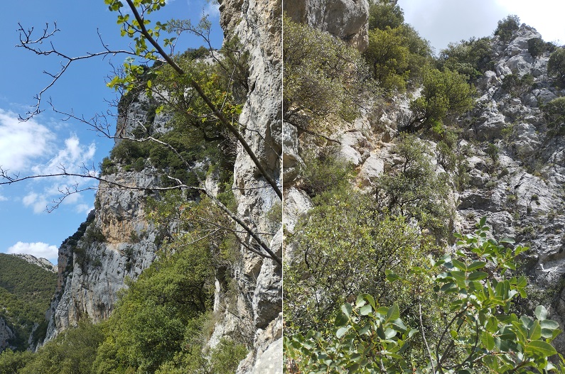 St Martin Lys, sortie du 18 août 2024 -11