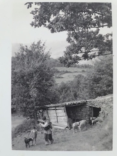 St Martin Lys, la bergerie Castella à Planèses en 1940