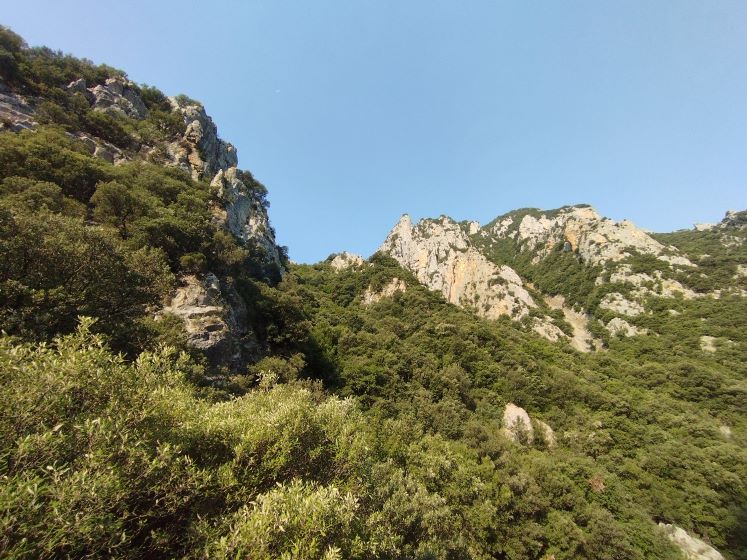 chemin du gourg bouillidou - La grande coulée du Quirbajou - 1