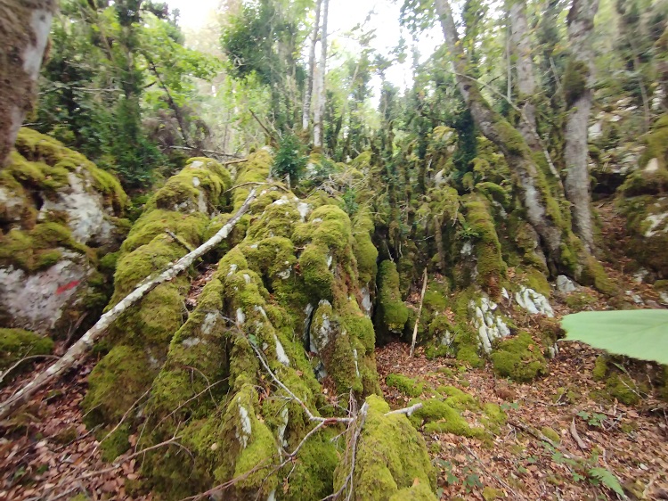 Quirbajou, Gouffre le plateau karstique - 1